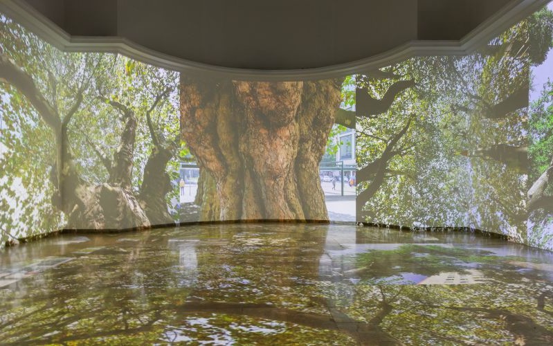 Architekturbiennale_2025_01