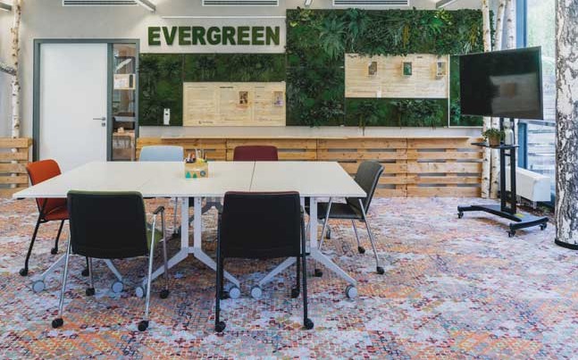 object_carpet_smartvillage_evergreen_01