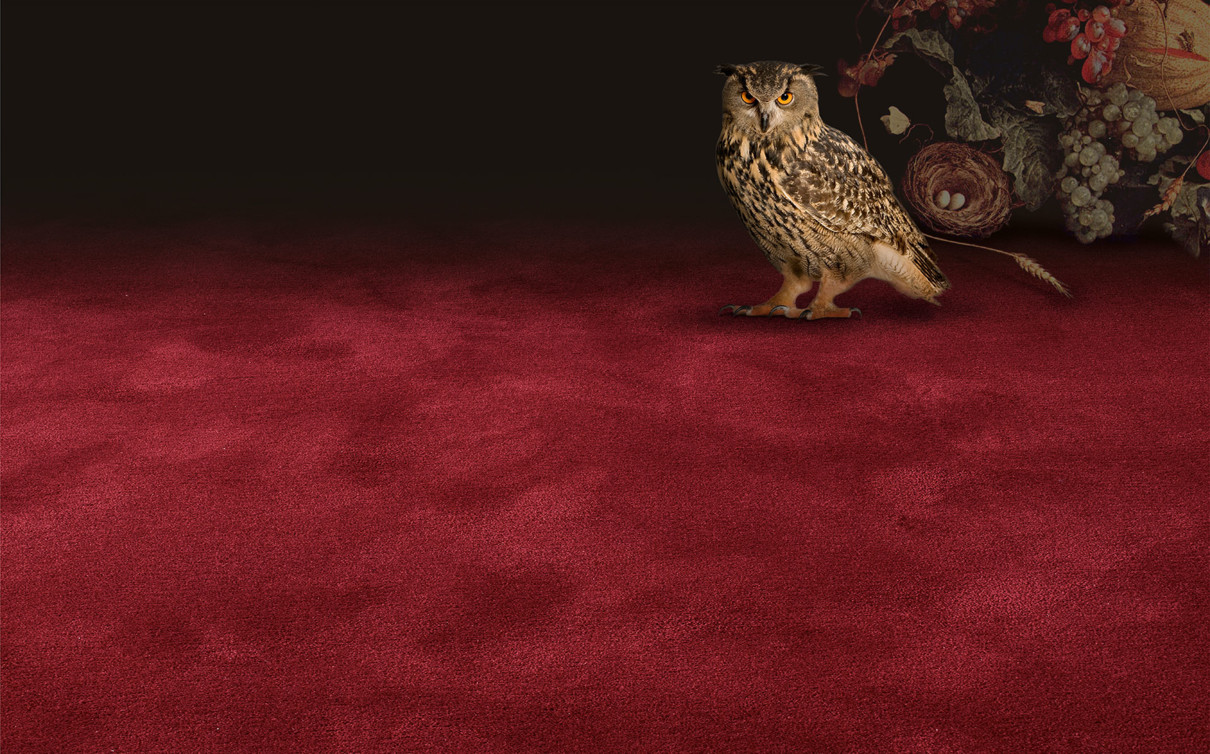 manufaktur_pure-wool_owl_red_oc